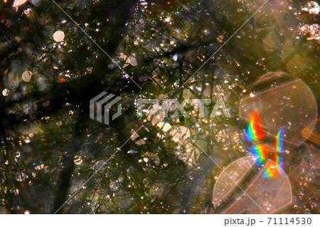 虹アート 71114530