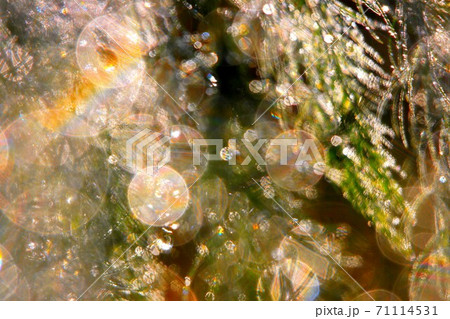 虹アート 71114531