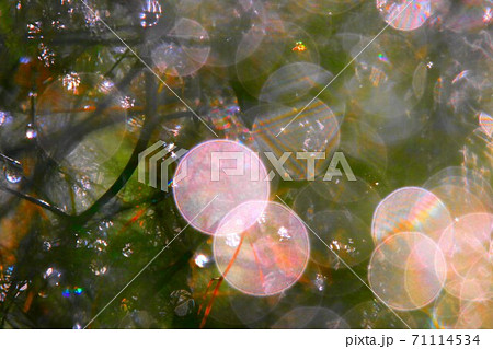 虹アート 71114534