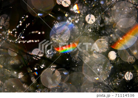 虹アート 71114536