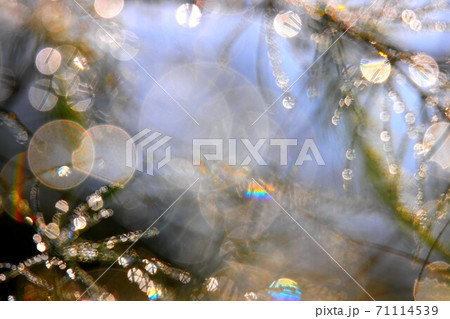 虹アート 71114539