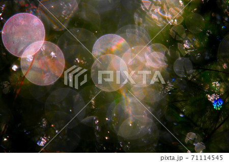 虹アート 71114545