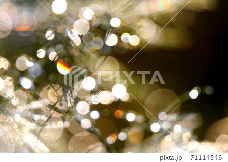 虹アート 71114546