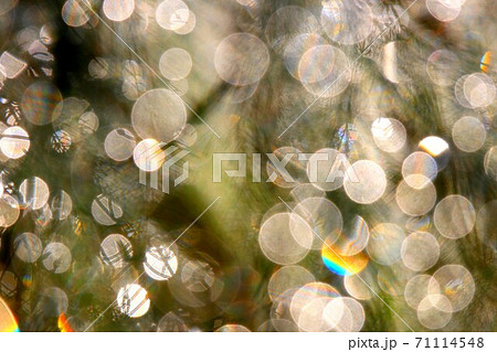 虹アート 71114548