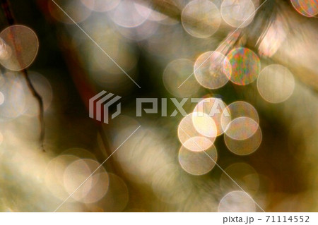 虹アート 71114552