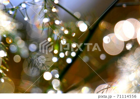 虹アート 71114556