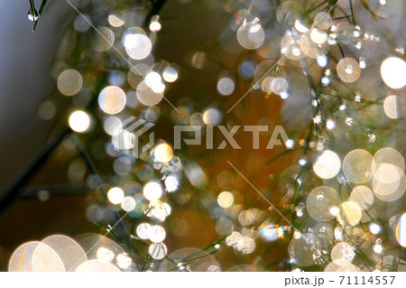 虹アート 71114557