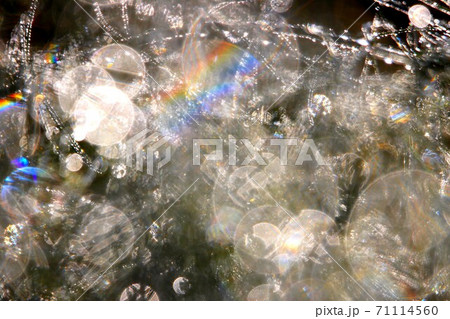 虹アート 71114560