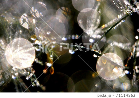 虹アート 71114562