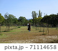 緑地を散策する女性の後ろ姿 71114658