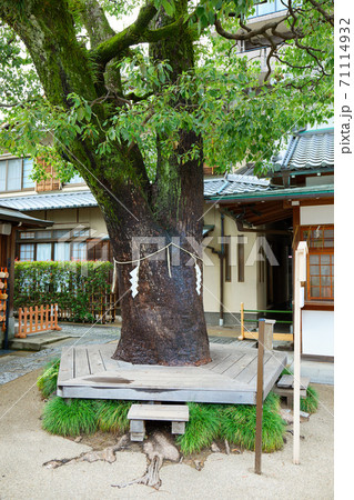 晴明神社 71114932