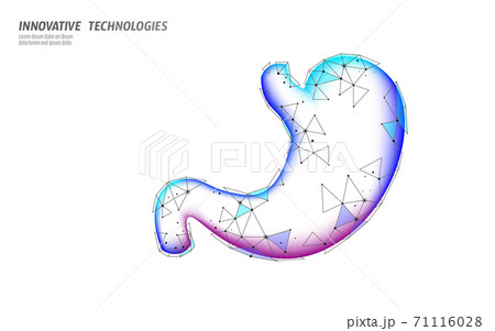 Human healthy stomach recovery system medicine concept. 3D low poly digestion reconstruction technology pharmacy drugstore banner. Health care vector illustration 71116028