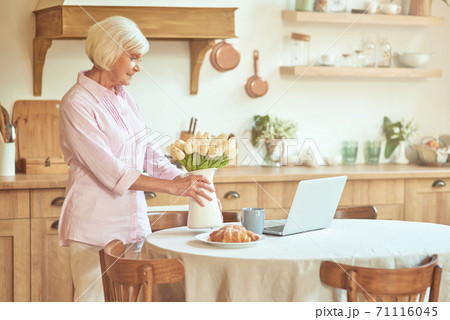 Smiling senior lady spending her morning at home Smiling senior lady spending her morning at home 71116045