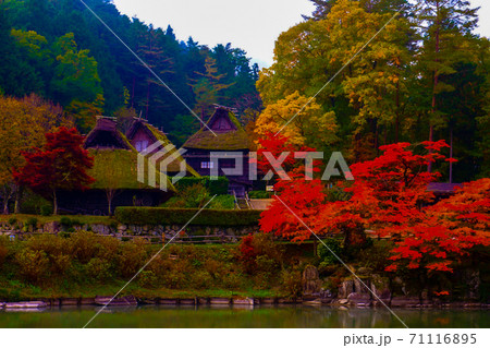 飛騨の里にある合掌造りの家と赤に色づくもみじの木々 飛騨の里にある合掌造りの家と赤に色づくもみじの木々 71116895