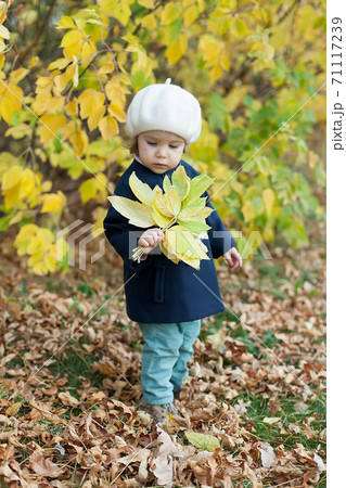 Little girl in a coat at autumn holding leaves. 71117239