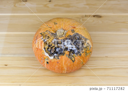 Pumpkin that started to rot, close-up on a white background. The spoiled vegetables Pumpkin that started to rot, close-up on a white background. The spoiled vegetables 71117282
