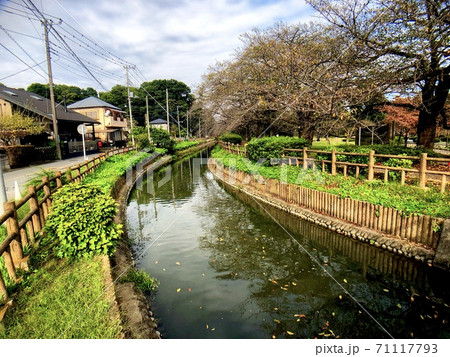 雲が広がる空と電線のある川沿いの田舎の街並みの風景の写真素材