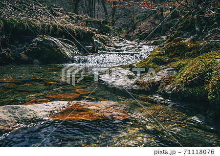 A river flowing between mossy rocks 71118076