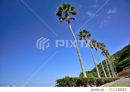 奄美大島　秋晴れの大浜海浜公園 71118682