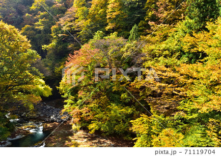 秋の紅葉に染まる塩原温泉と鹿股川 秋の紅葉に染まる塩原温泉と鹿股川 71119704