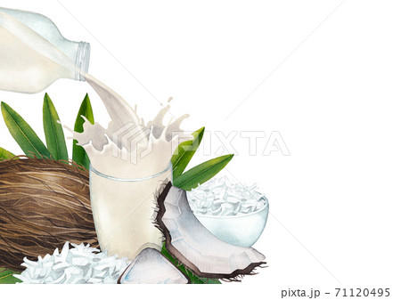 Watercolor plant based milk pouring out from the glass bottle into the cup with a splashes and decorated with coconuts 71120495