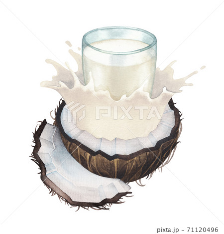 Watercolor glass of the plant based milk splashing out from the sliced coconut. 71120496