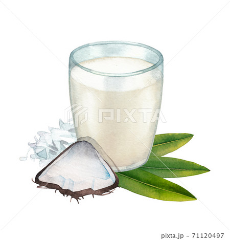 Watercolor glass of plant based milk surrounded by coconut, flakes and leaves 71120497