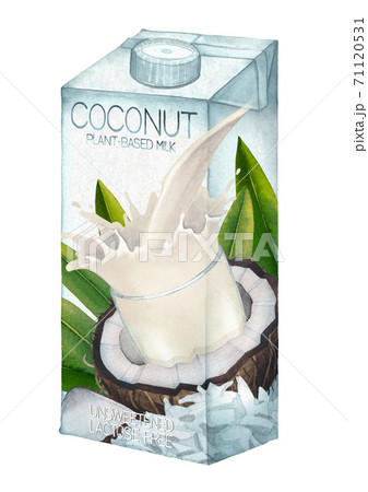 Watercolor carton of plant based milk decorated with coconuts Watercolor carton of plant based milk decorated with coconuts 71120531