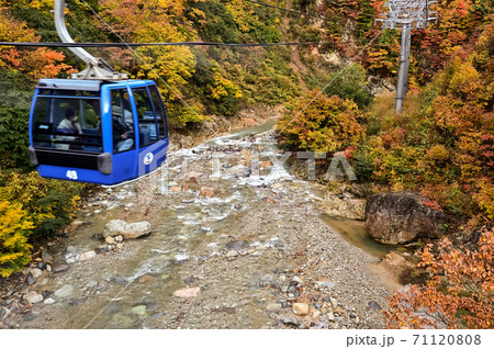 新潟県　紅葉の絶景　苗場ドラゴンドラ 71120808