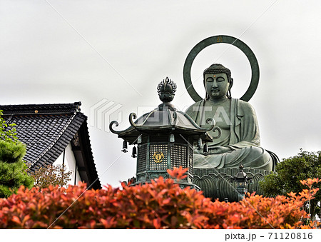 富山県 日本三大佛 高岡大佛 富山県 日本三大佛 高岡大佛 71120816