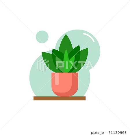 Vector flat house plant pot illustration. 71120963