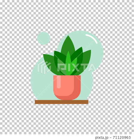 Vector flat house plant pot illustration. 71120963