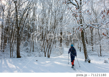新雪の森でスノーシュートレッキングを楽しむ 71121180