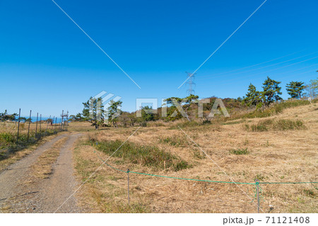 伊吹山の3合目付近の風景 伊吹山の3合目付近の風景 71121408