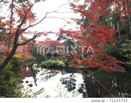 秋の京都　金戒光明寺 71121735
