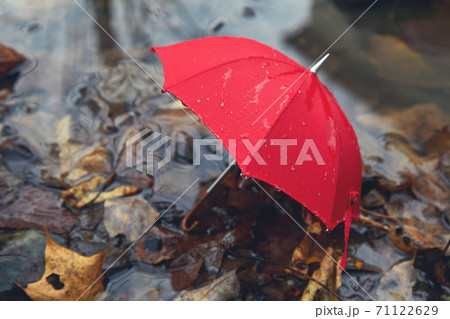 Red umbrella in a poddle with autumn fall leaves. Autumn concept Red umbrella in a poddle with autumn fall leaves. Autumn concept 71122629