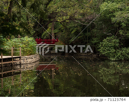 埼玉県大宮　氷川神社の池の風景 71123764