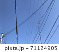 快晴の空と電線 71124905