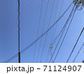 空と電線 71124907