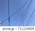 快晴の日の空の様子 71124909