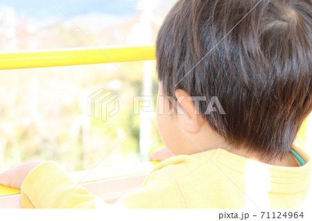 観覧車に乗る弟の後ろ姿 71124964