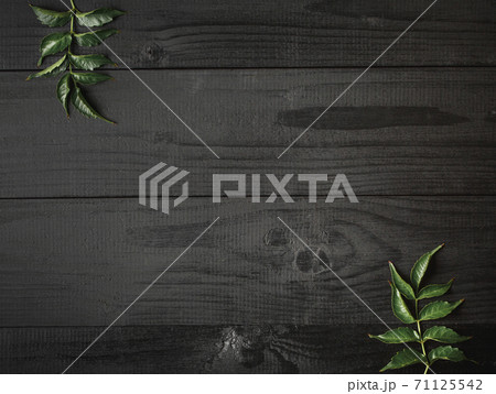 green twigs of plants on a black wooden board green twigs of plants on a black wooden board 71125542
