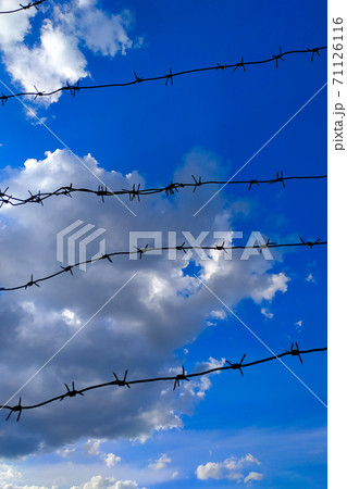 Barb wire fence and blue sky .Diagonal barbed wire and sky. 71126116
