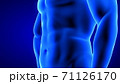 male fitness body transformation, abdominal muscles detail - muscle mass building illustration on blue background 71126170