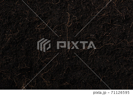 Black land for plant background 71126595