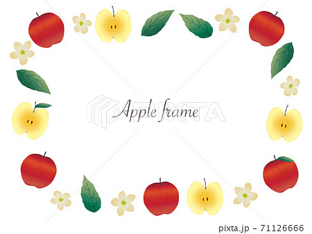 りんごの実 花 葉のイラストフレームのイラスト素材