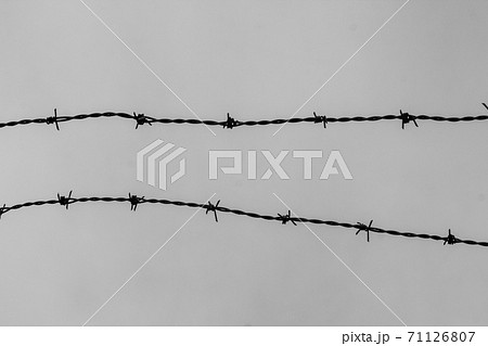 有刺鉄線の写真素材 [71126807] - PIXTA