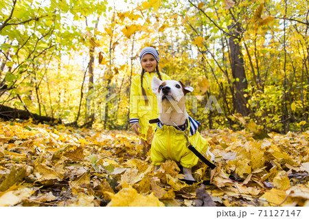 Little girl playing with her dog in autumn forest. Child and jack russell terrier dog. 71127147