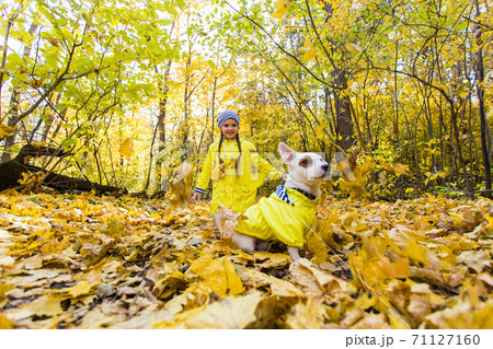 Little girl with a dog jack russell terrier. Child, childhood, friendship and pet concept. Small dog walking in the autumn park. Little girl with a dog jack russell terrier. Child, childhood, friendship and pet concept. Small dog walking in the autumn park. 71127160
