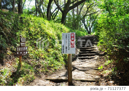 秦野市 弘法山公園ハイキングコースと道しるべ 秦野市 弘法山公園ハイキングコースと道しるべ 71127377